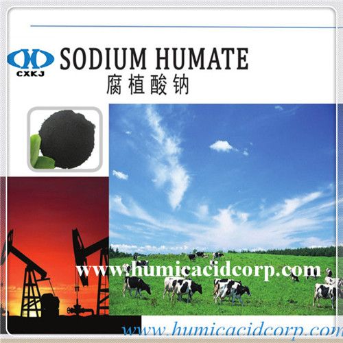 Water Soluble Sodium Humate Organic Fertilizer