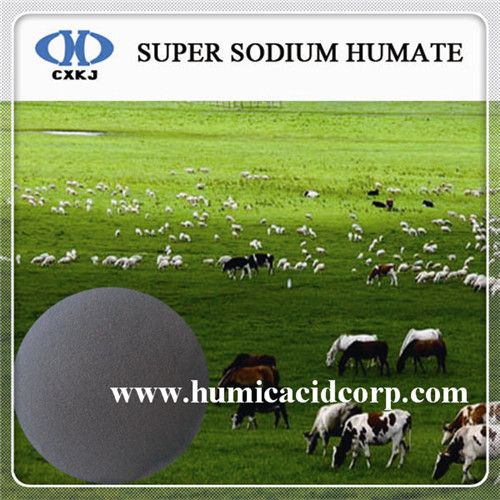 POULTRY FEED SODIUM HUMATE