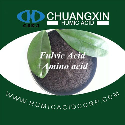 fulvic acid minerals