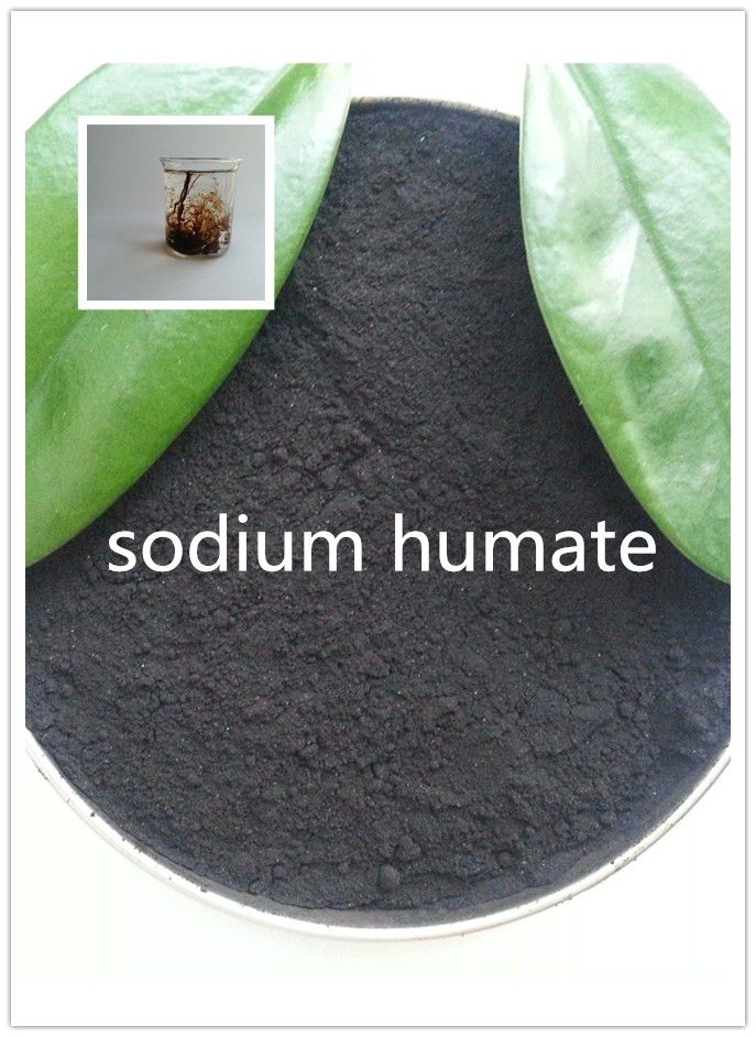 Sodium humate for feed additive and mariculture
