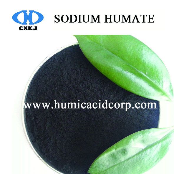 Sodium humate for feed additive and mariculture