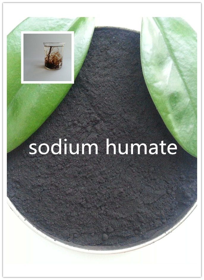 Organic Fertilizer Sodium Humate For Agriculture/Industrial/Feed Additive/Mariculture