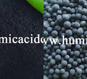 Humic Acid From Leonardite For Base Fertilizer