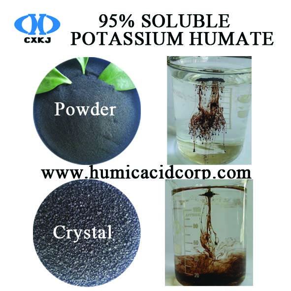 100% Water Soluble Shiny Potassium Humate