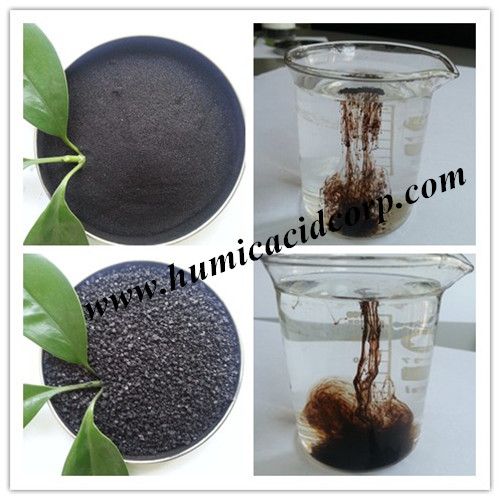 High Water Soluble Potassium Humate Manufacturer 