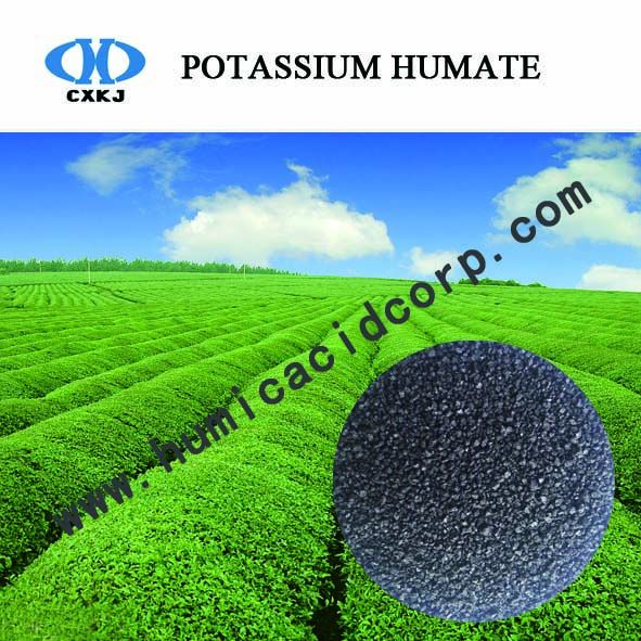 Super potassium humate China manufacturer