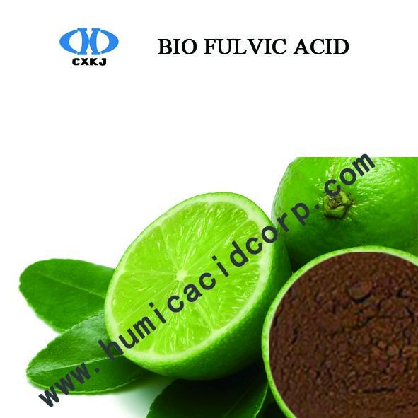 Plant Source Biochemical Fulvic Acid With High Water Solubility