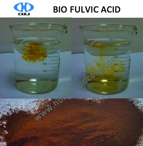 Plant Source Biochemical Fulvic Acid With High Water Solubility