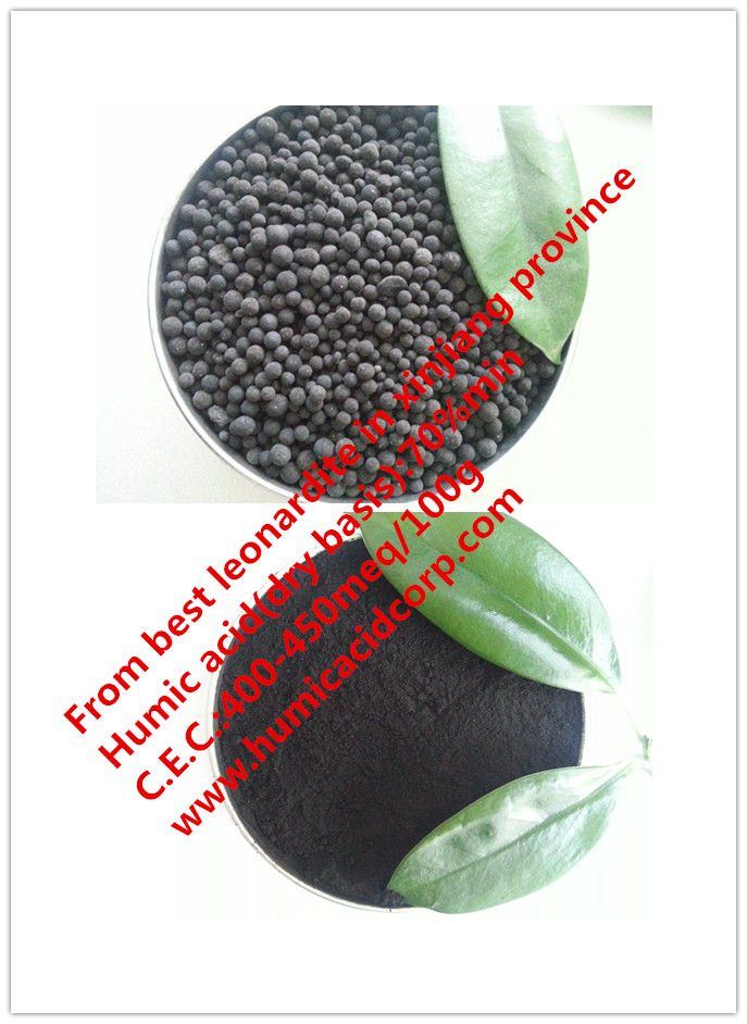 Natural Leonaridte Humic Acid Powder/Granule 70%