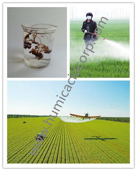 High Water Soluble Fulvic Acid For Trace Elements Chelating