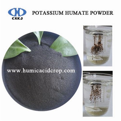 Super Potassium Humate Powder promote plant growth leonardite
