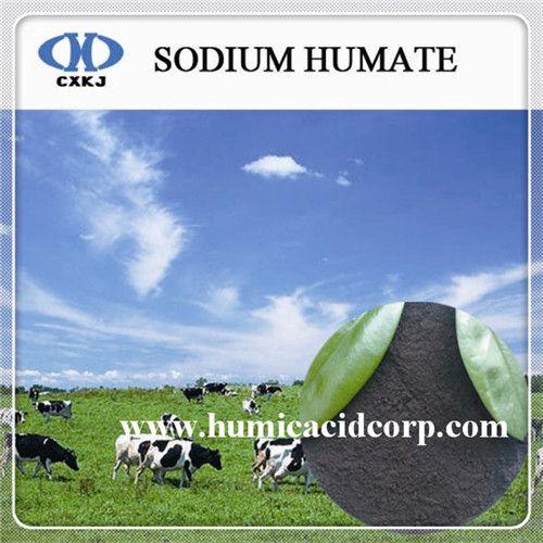 Sodium Humate for additive/Agrochemical