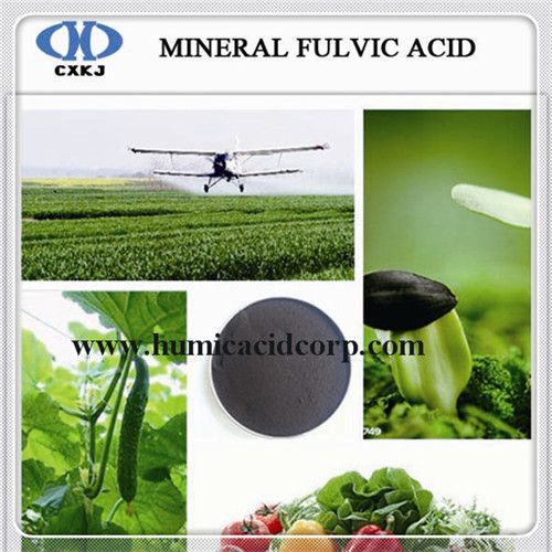 Mineral Fulvic acid improve quality and yield