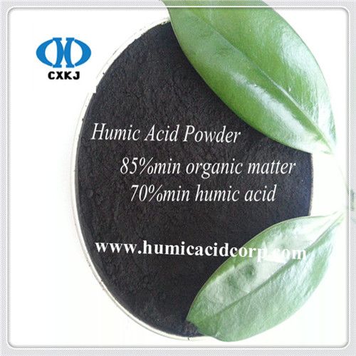 Professional Manufacturer ofHumicAcid
