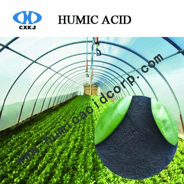 Mineral Humic Acid Powder From Lignite For Base Fertilizer Soil Improvement