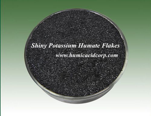 Professional SupplierShiny Potassium Humate Flakes