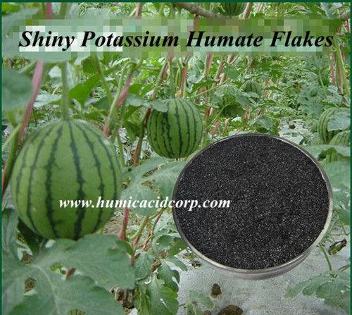 Professional SupplierShiny Potassium Humate Flakes