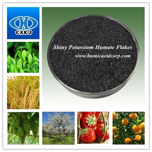 Professional SupplierShiny Potassium Humate Flakes