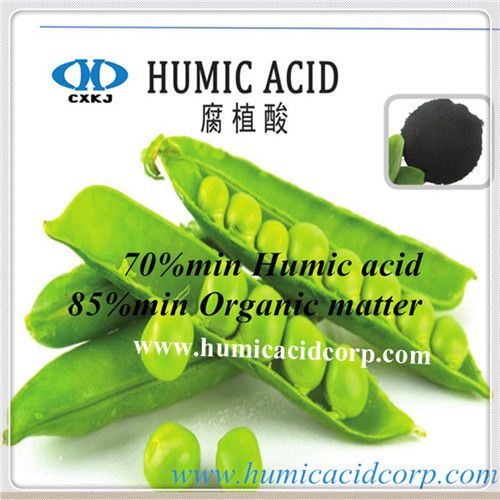 improving yield and quality of corps-- humic acid
