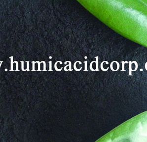 improving yield and quality of corps-- humic acid