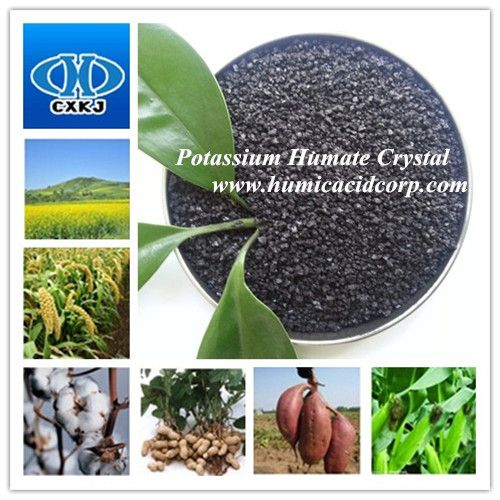 Improing the structure of soil--Potassium Humate Crystal /Powder