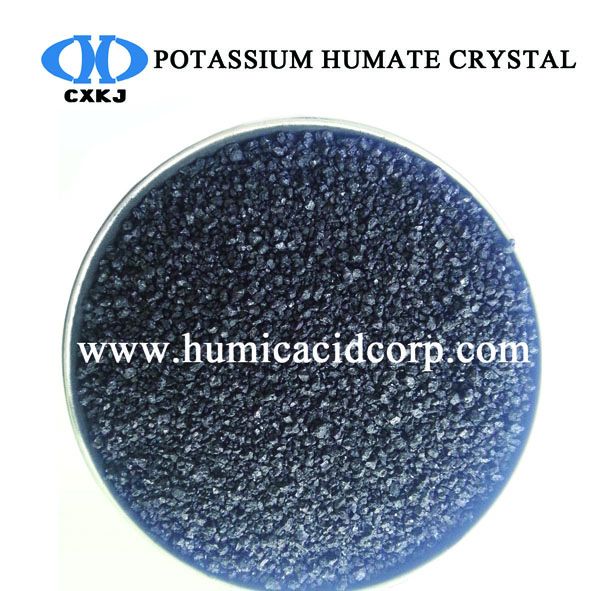 Improing the structure of soil--Potassium Humate Crystal /Powder