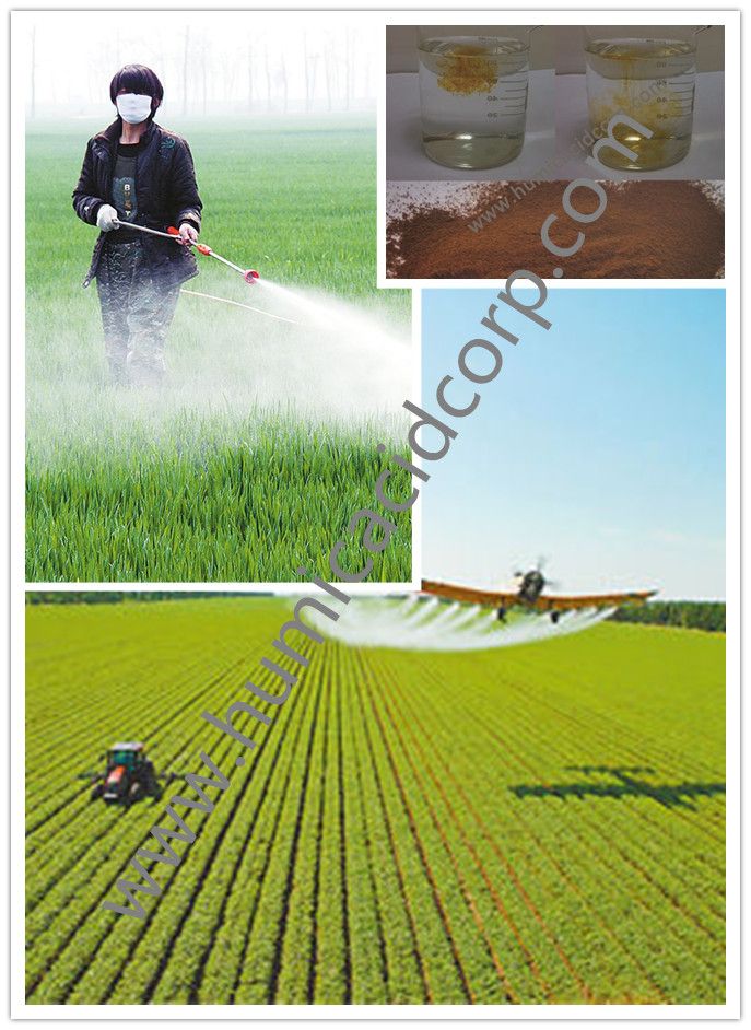 Bio Fulvic Acid: Plant growth regulator 