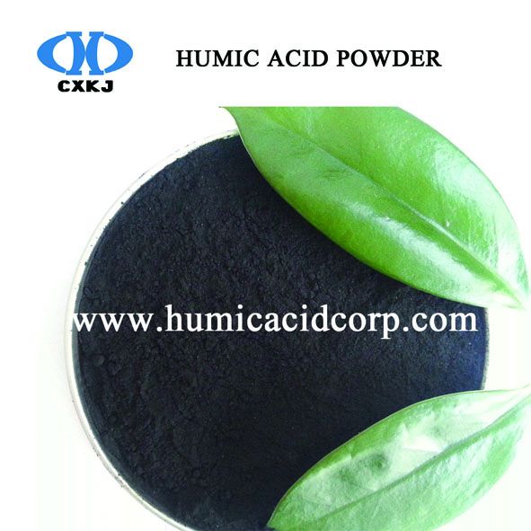 high quality fertilizer aditive Humic Acid Powder from China