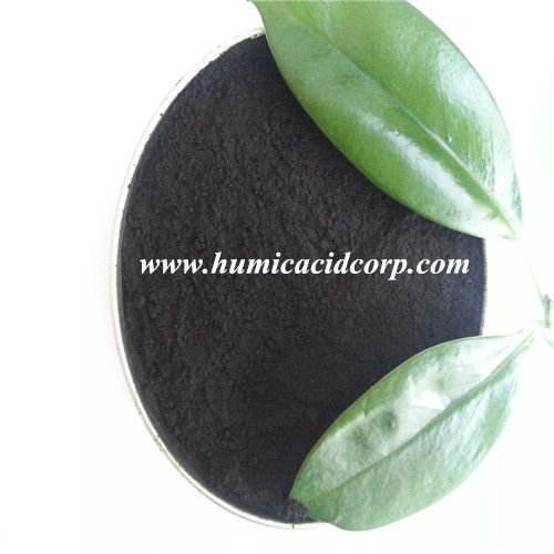 Humic Acid Powder from China
