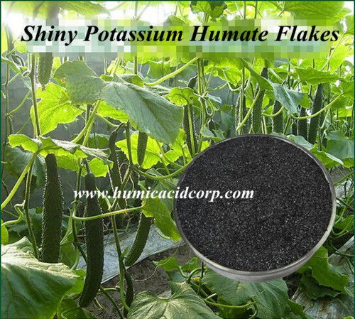 Shiny Potassium Humate Flakes High Quality Humic Acid China Supplier