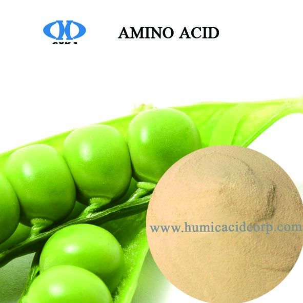 Amino Acid Extract From Leonardite Lignite Fertilizer Humic Acid