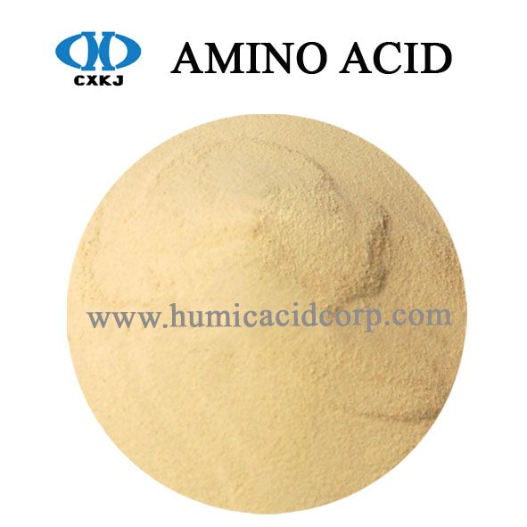 Amino Acid Extract From Leonardite Lignite Fertilizer Humic Acid