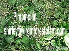Pimpinollin(Shirley at virginforestplant dot com)