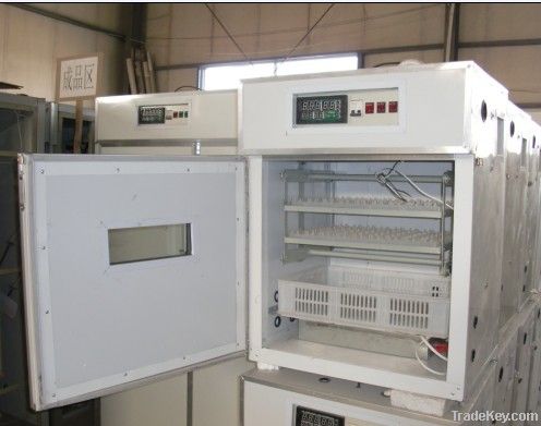 Poultry egg incubator