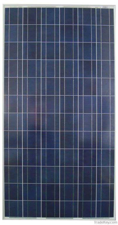 Poly Solar Module