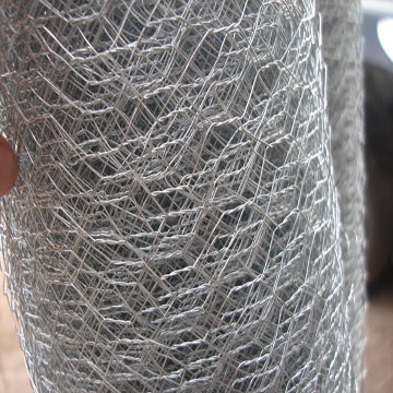 Hexagonal Wire Mesh