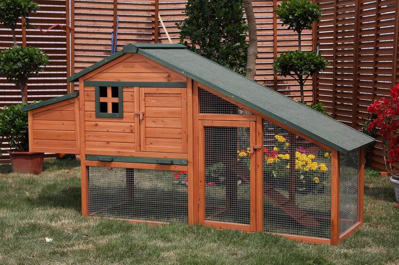 chicken house