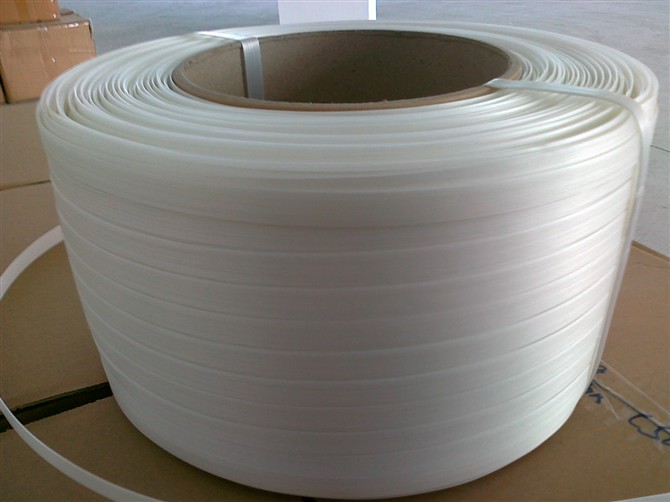 Beststrap BT-VS-60polyester cord strappings supplier China