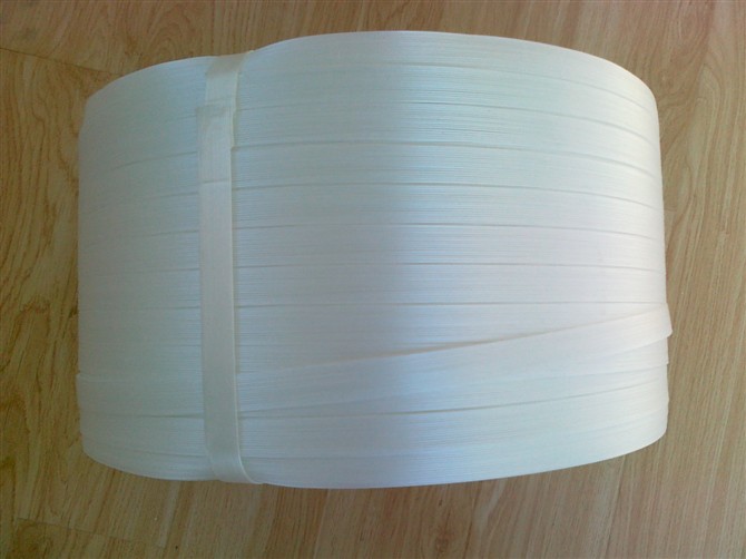 Beststrap BT-VS-106 Polyester Composite Strapping China