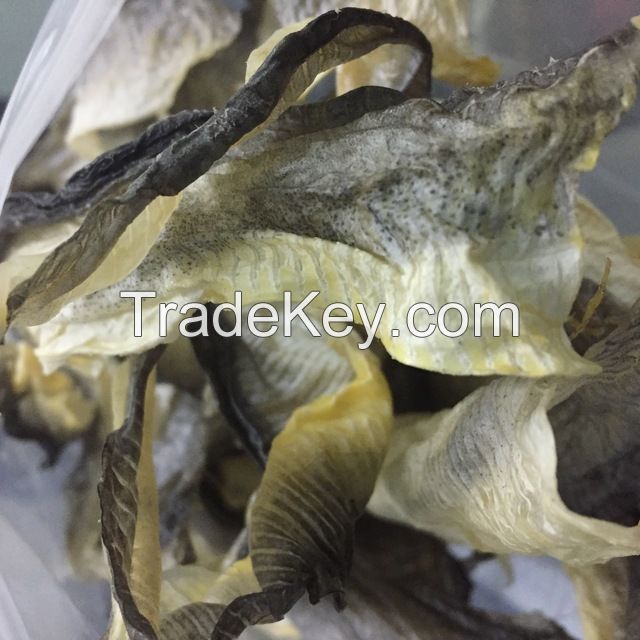 Dried Fish Skin for Collagen Industry with High Quality and Best Price