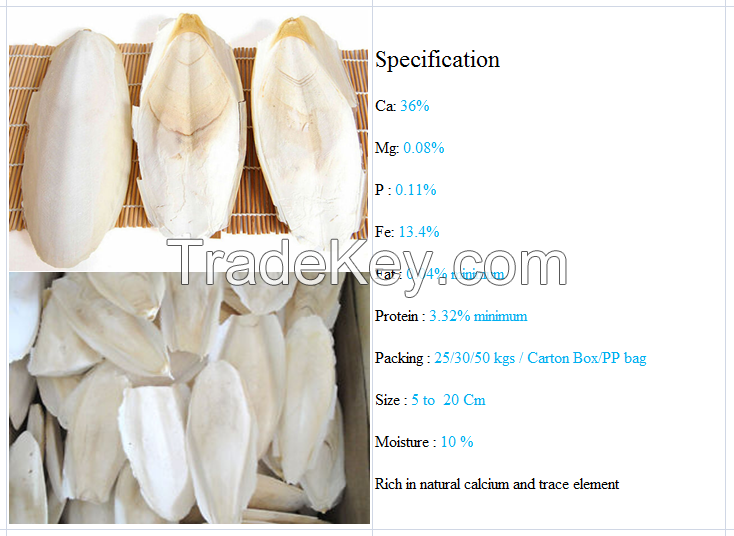 Cuttlefish Bone for Bird Feed with High Quality and Best Price