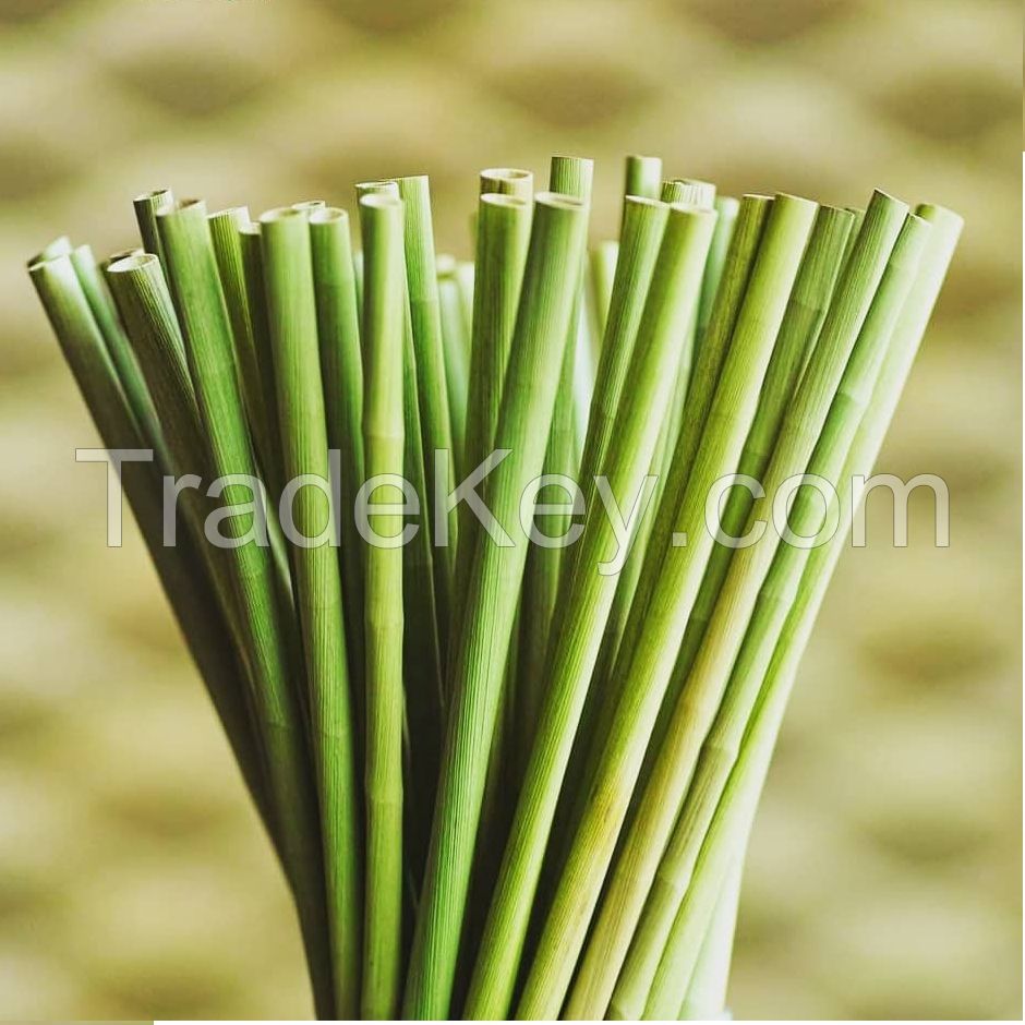 Why donâ€™t you use Eco Friendly Grass Drinking Straws?