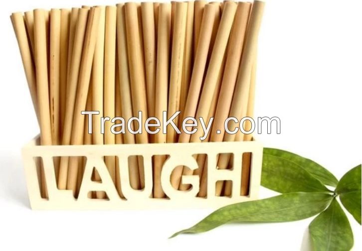 Why dont you use Eco Friendly Bamboo Straws Drinking