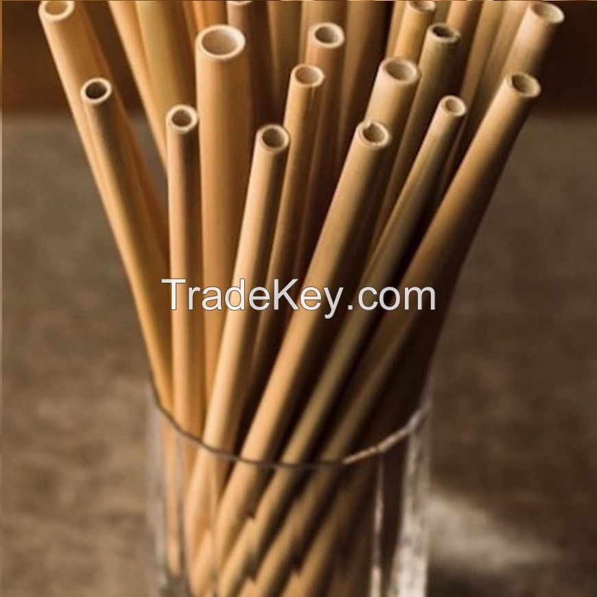 Why dont you use Eco Friendly Bamboo Straws Drinking