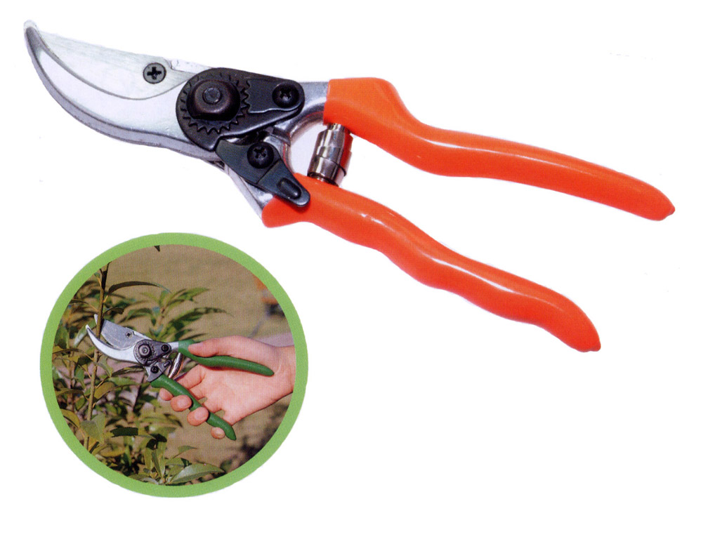 8" By-Pass Pruning Shear