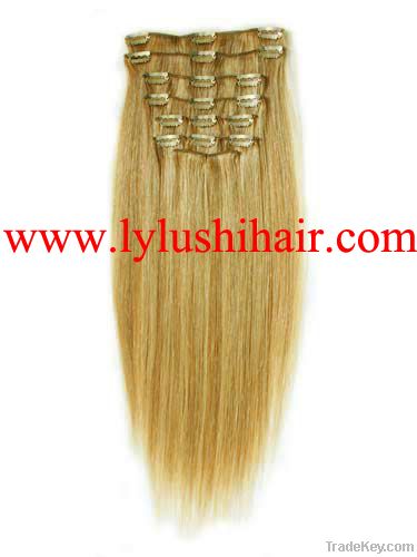 Clips in Hair Extensions