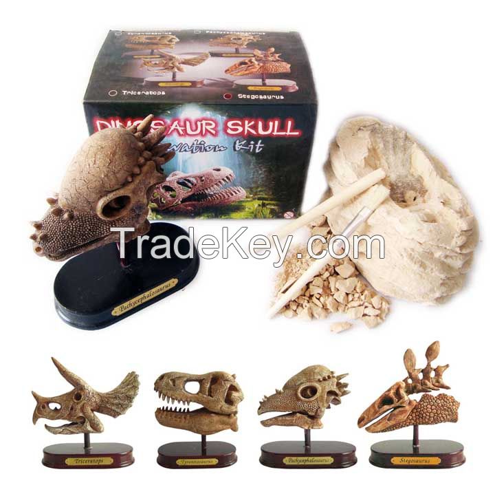 Lg. Dinosaur Skull Excavatio Kit/Dig it Out Toys