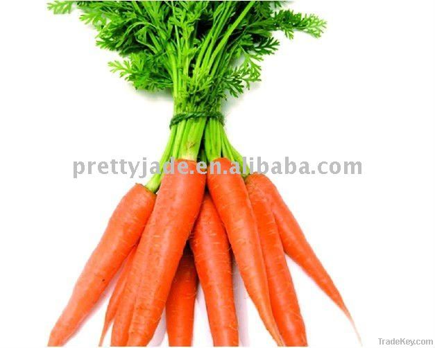 Chinese fresh carrot