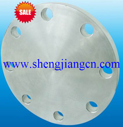 Blind Flange