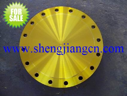 Carbon Steel Blind Flange